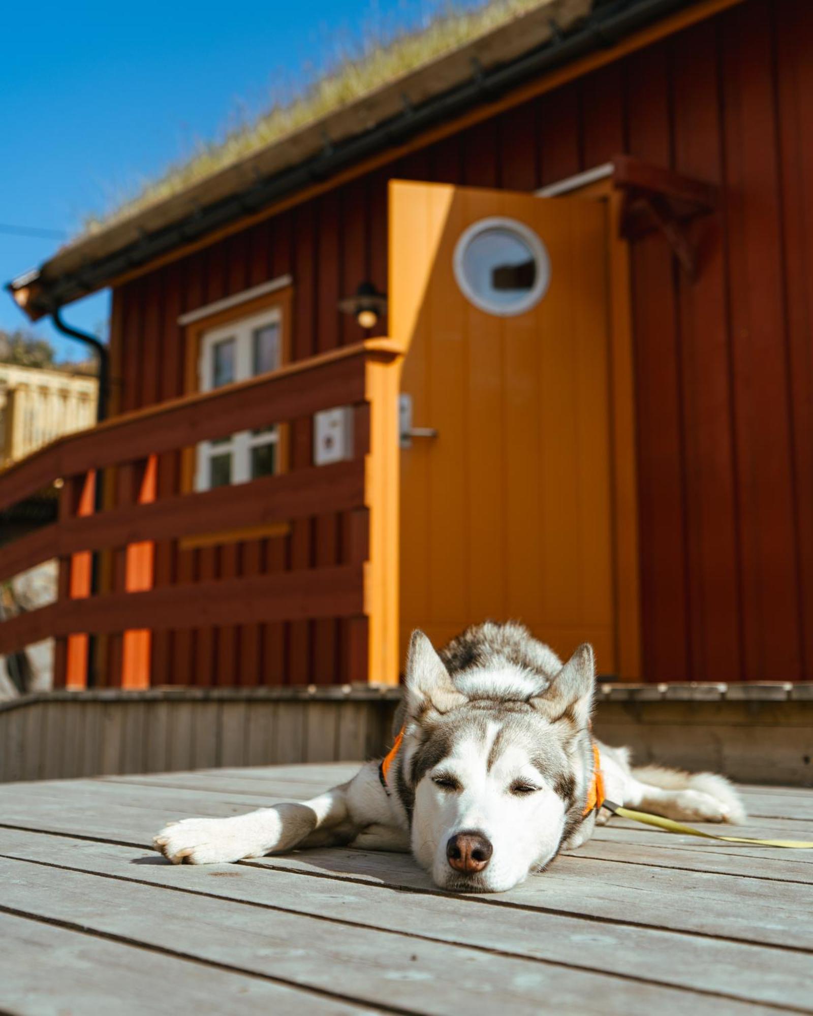 Reinefjorden Sjohus Apartment Exterior foto