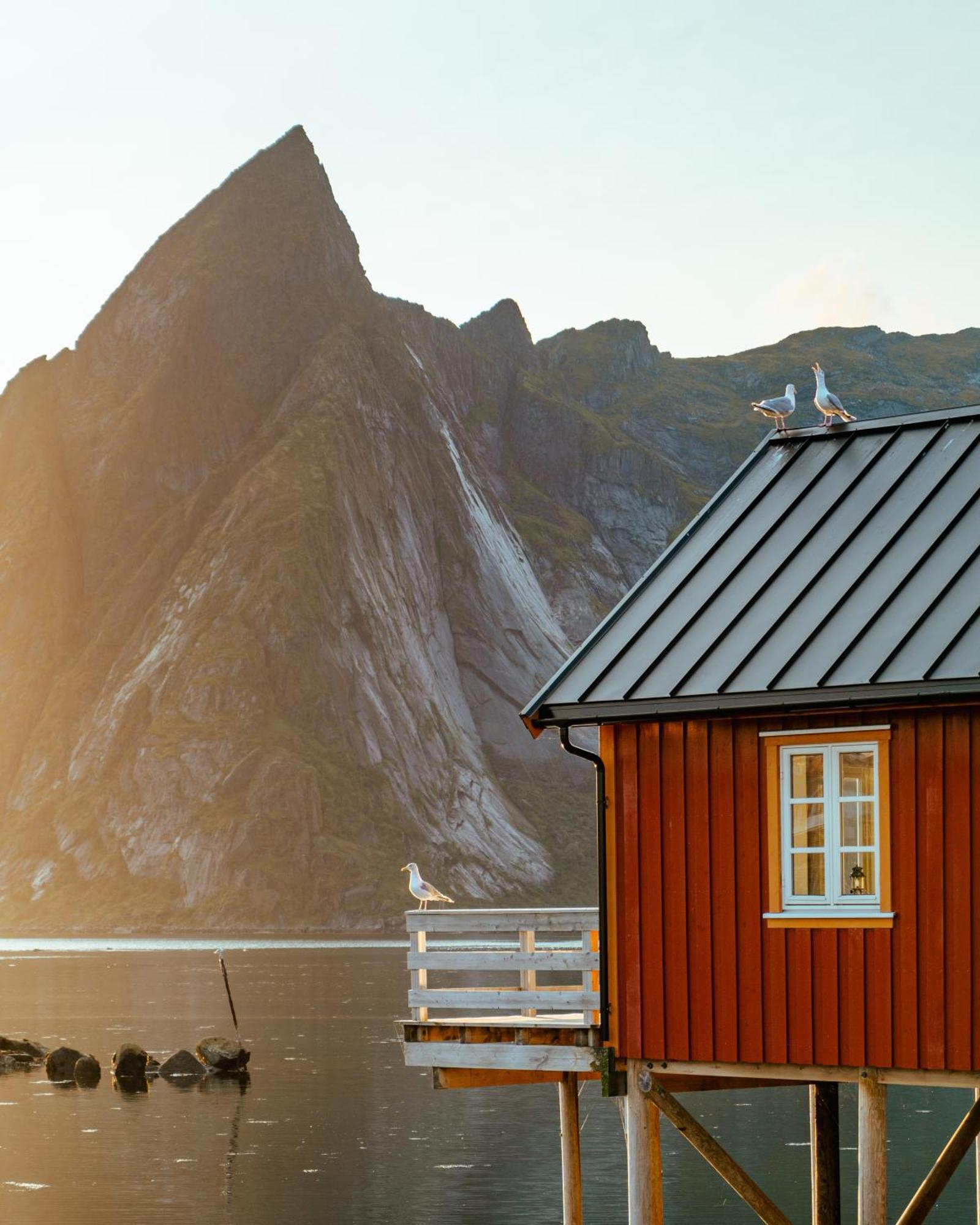 Reinefjorden Sjohus Apartment Exterior foto